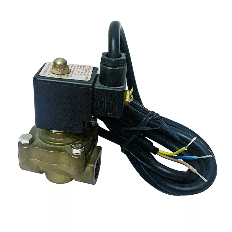 Injap Solenoid LPG